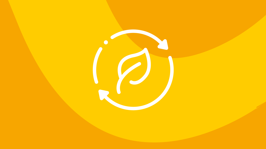 Icon: Holistic sustainable approach